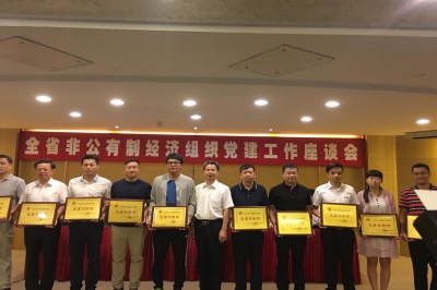 喜報—— 集團(tuán)黨委榮獲廣東省非公經(jīng)濟(jì)組織“先進(jìn)黨組織”榮譽(yù)稱號